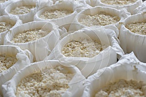 Cheese making process photo