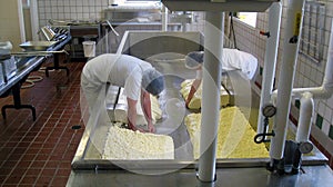 Cheese Making at Shelburne Farms VT