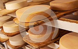 Cheese maturing on shelf - traditional aging method in small dairy