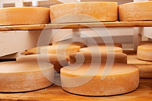 Cheese maturing on shelf - traditional aging method in small dairy