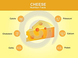 Cheese nutrition facts, cheese with information, cheese vector