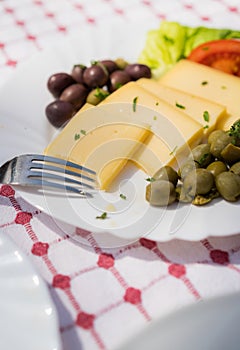 Cheese and olives summer plate
