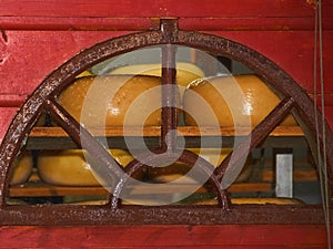 Cheese in the pantry on a rural farm