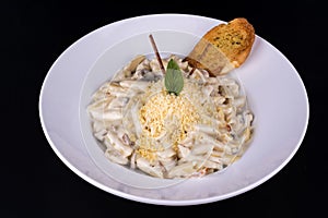 Cheese pasta with white sauce