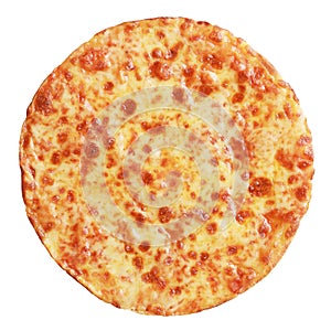 Cheese pizza isolated photo