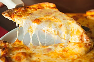 Cheese pizza