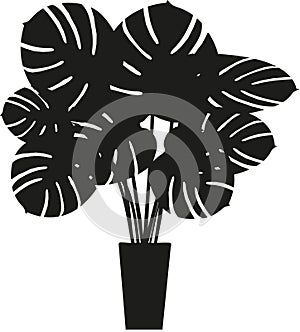 Cheese Plant Silhouette