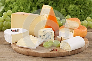 Cheese plate with Camembert, mountain and Swiss cheese