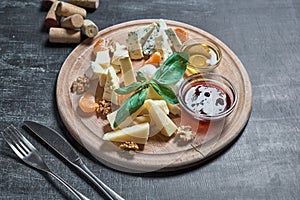 Cheese plate with cheeses Dorblu, Parmesan, Brie, Camembert and Roquefort in serving on the table from an old tree.