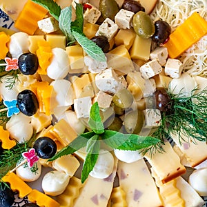 Cheese platter, Assorted with olive and greenery on a plate