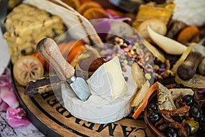 Cheese platter with different cheese types served with olives, fruits and nuts