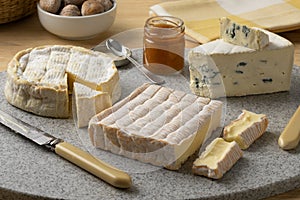 Cheese platter with French cheeses close up on a cutting board