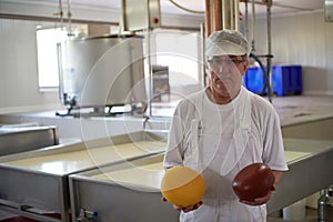 Cheese production cheesemaker working in factory