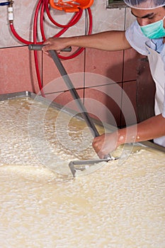 Cheese production plant worker