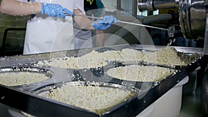 Cheese production. Professional workers making their job at cheese plant.