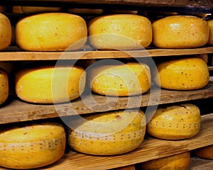 Cheese rack