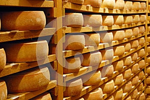 Cheese raclette in refining