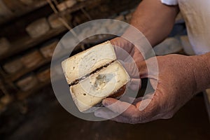 Cheese in ripening cellar on familiar industry