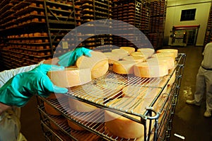 Cheese ripening in industrial food production