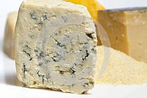 Cheese Roquefort Macro