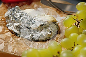 Cheese roquefort on parchment background