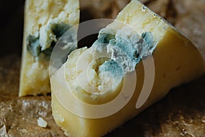 Cheese roquefort on parchment background