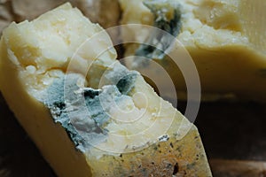 Cheese roquefort on parchment background