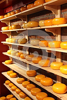 Cheese rounds