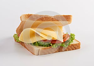 Cheese sandwich