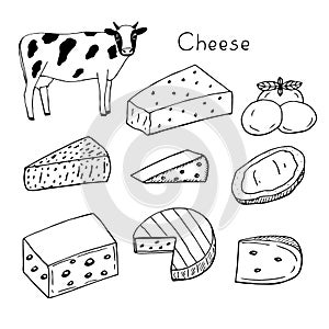 Cheese set vector illustration, cow, hand drawing doodles