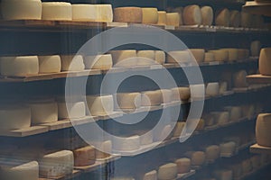 Cheese on shelves in the dairy room with temperature control