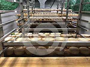 Cheese shelves. Spanish cheeses