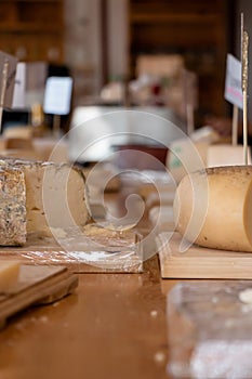 Cheese shop of San Antonio de las Minas, fine dinning and diairy products