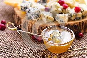 Cheese slices with honey and cranberries. Different sorts of cheese on wooden board.