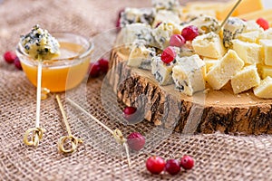 Cheese slices with honey and cranberries. Pieces of cheese on natural background.