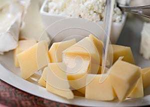 Cheese slices on plate close up with copy space