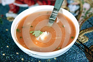 cheese soup. paneer soup. paladai soup. photo