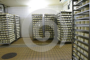 Cheese storage in dairy