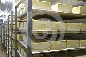 Cheese storage in dairy