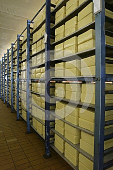 Cheese storage in dairy