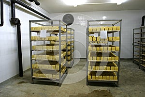 Cheese storage in dairy