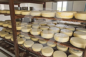 Cheese storage in the ripening process at RoÃ§a Da Cidade