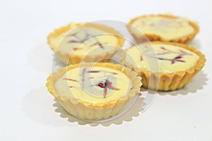 Cheese tart of Food photography concept.