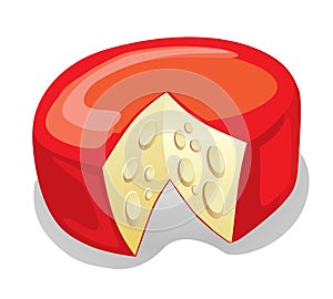 Cheese Truckle (illustration)