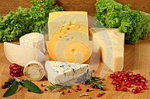 Cheese types