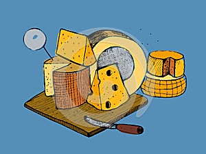 Cheese types composition on blue background. Colorful vector hand drawn illustration.