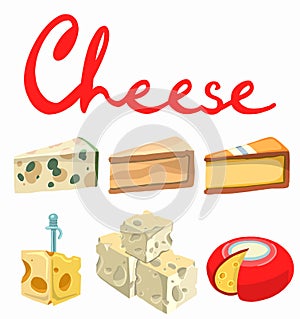 Cheese types. Modern flat style realistic vector illustration icons isolated on white background