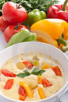 Cheese and Vegetable Cream Soup