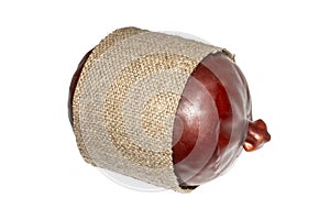 Cheese in wax side view.Kitchen spatula logo in vector.Kitchen spatula vector illustration top view.