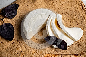 Cheese wheel, slices . Organic food. Still life, Adyghe cheese on pita bread and Basil leaves.